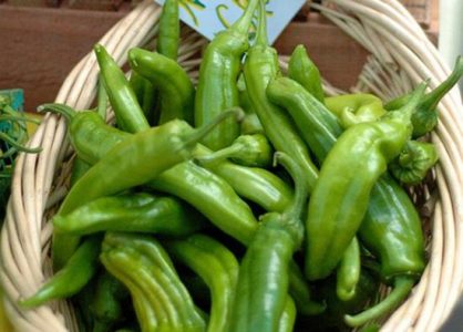 “Ay Chihuahua!” Too Hot Peppers! Image